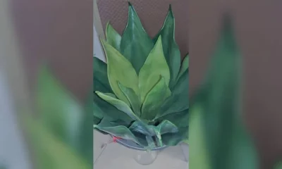 Ветка OAKOM TF 02