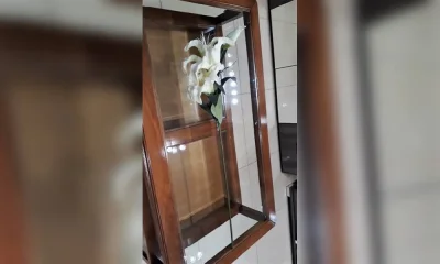 Лилия Oakom TZ 08