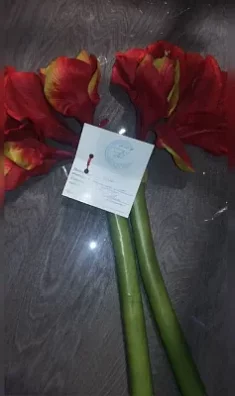 Цветы OAKOM Амарилис TU 24