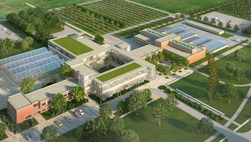 В Краснодарском крае создадут промышленный кластер